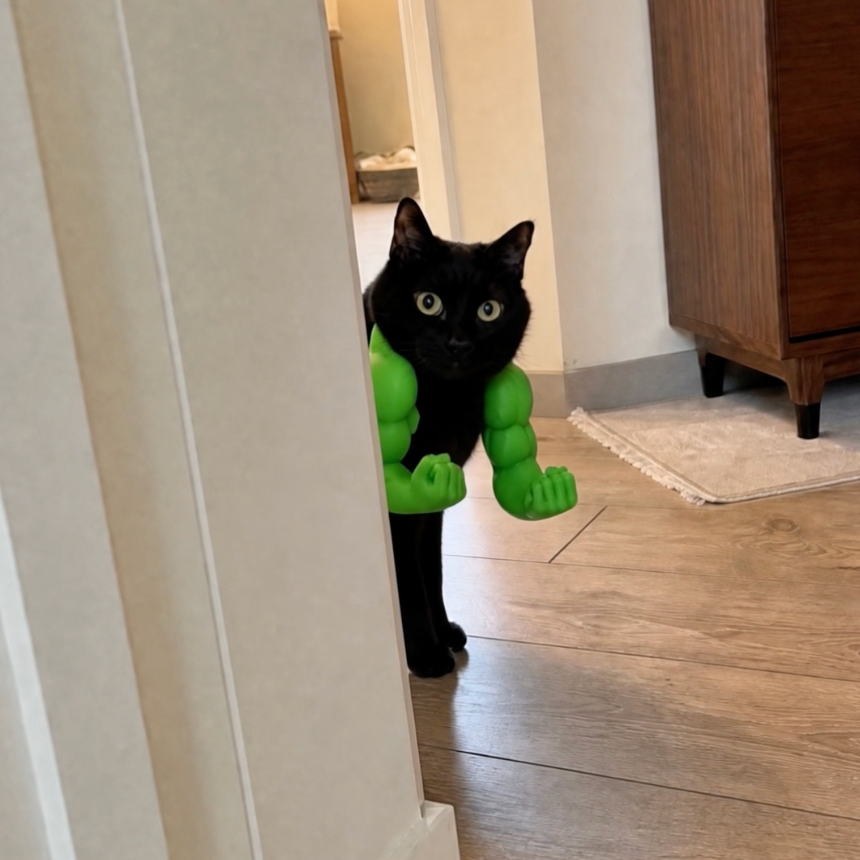 Meowscular Club Buff Cat Arms